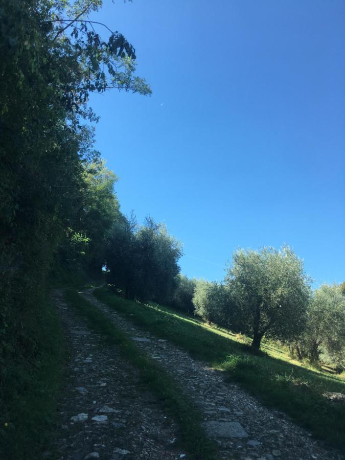 Villa San Regolino whit private pool Radicondoli Esterno foto