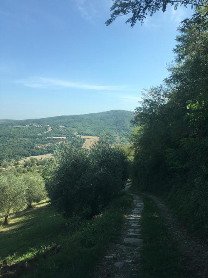 Villa San Regolino whit private pool Radicondoli Esterno foto